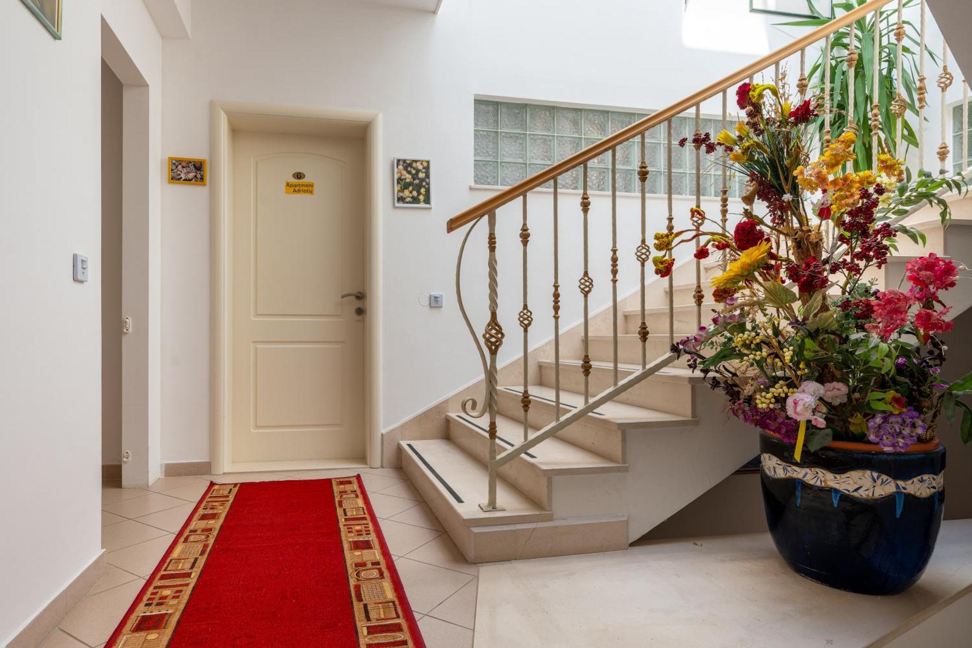 Adriatic Apartment نيوم المظهر الخارجي الصورة